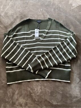 NWT Express Olive Green and White V-Neck Striped Sweater
